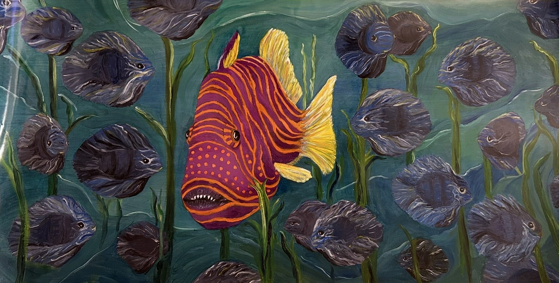 Purple and Orange Fish